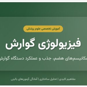 جزوه اهمیت و اصول رفتار حرفه ای در پرستاری